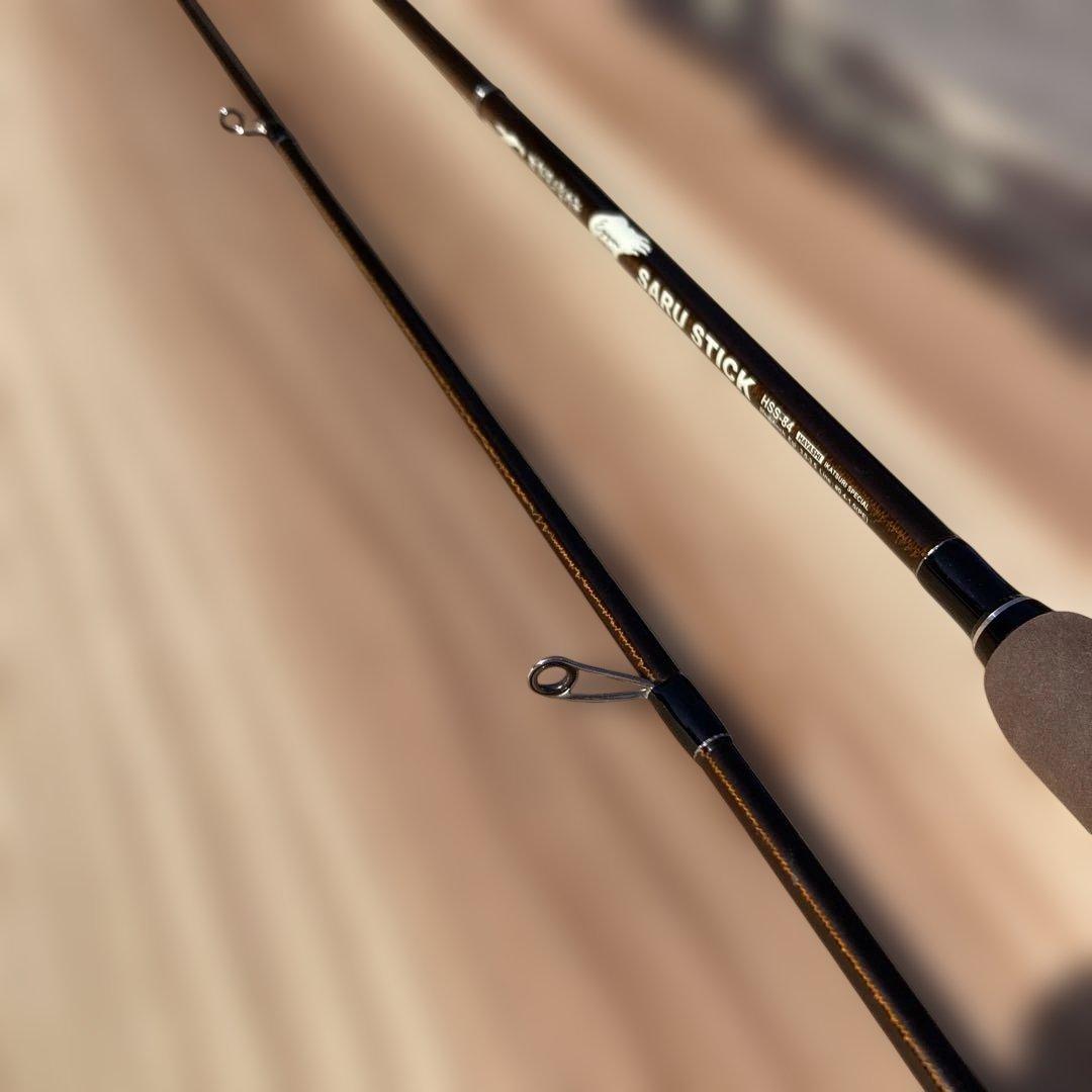 HAYASHI サルスティック 84