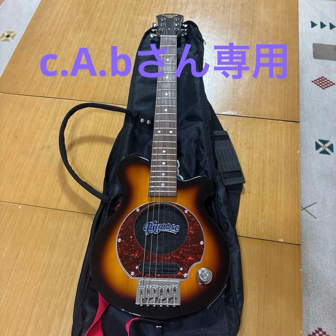 Pignose エレキギター コンパクト