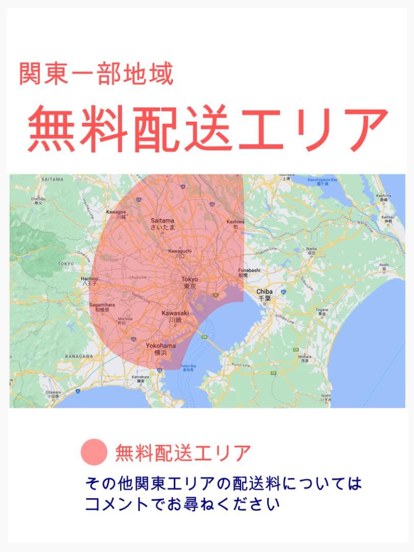 2020 超人気色 王様 ギュットアニーズ子供乗せ電動アシスト自転車 H3168