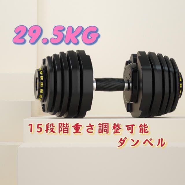 コア調整式ダンベル65LB（約29.5kgX2個セット）新デザイン