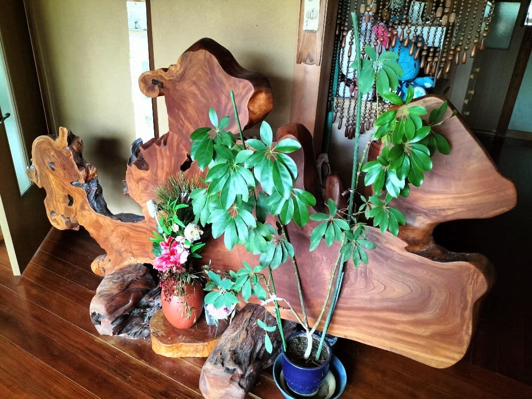 高級！一枚板、インテリアにも