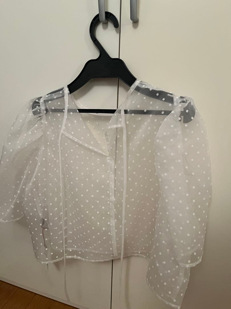epa organdy dot（white）