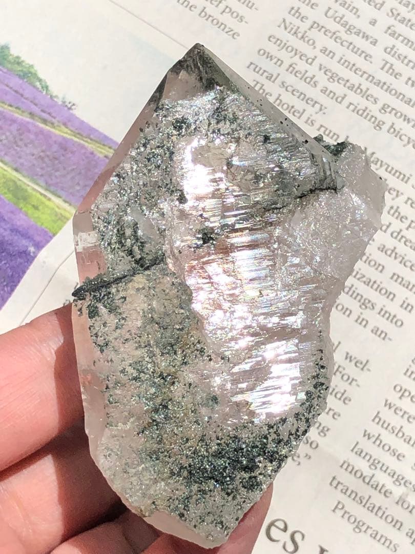 Gardens　マニハール産ルチルクォーツ