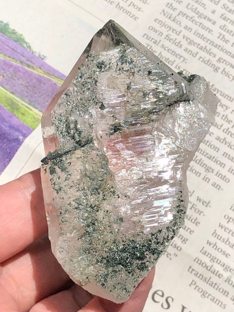 Gardens　マニハール産ルチルクォーツ