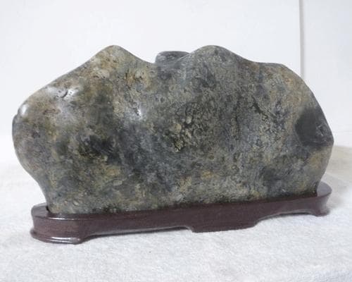 希少　美品　蛇石　縁起物　鑑賞石　台座付き