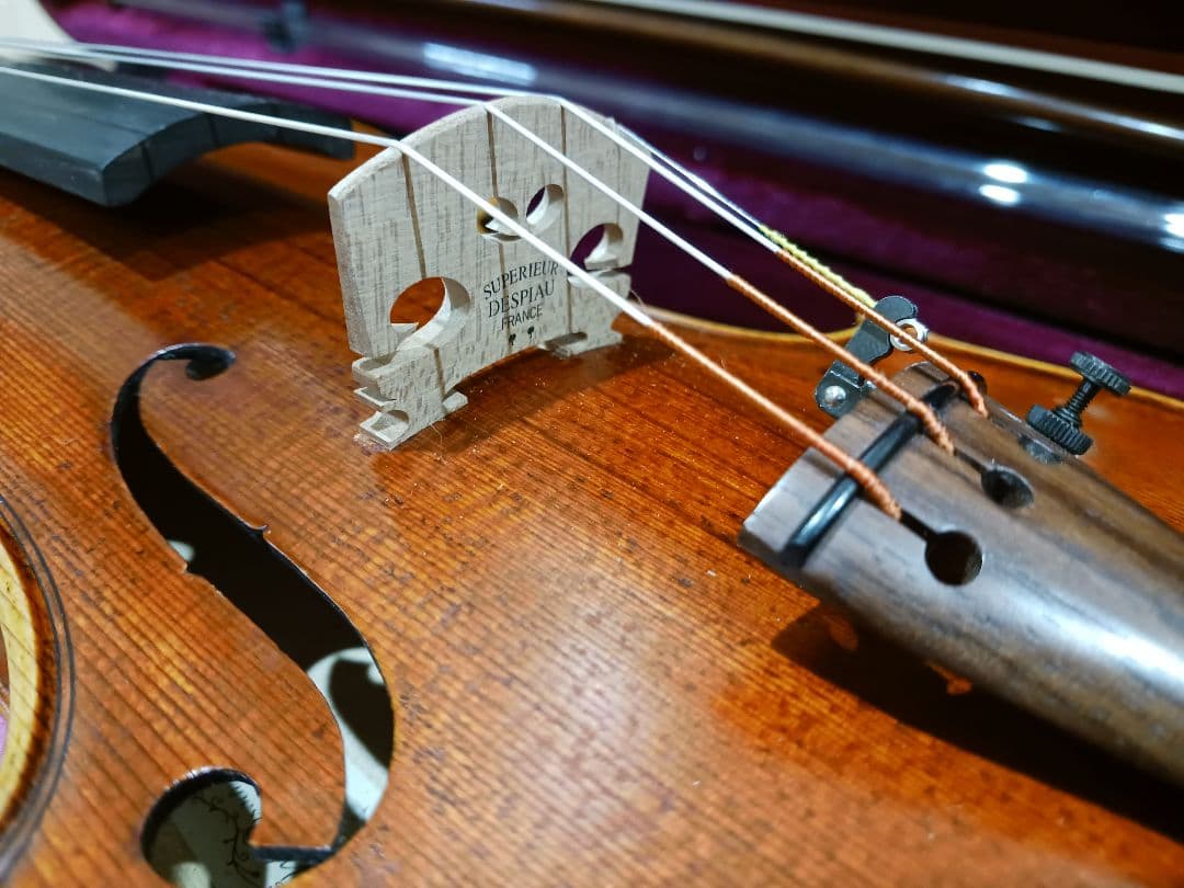 Ferenc Bela Vaci CDM-R 2006 4/4バイオリン 中古