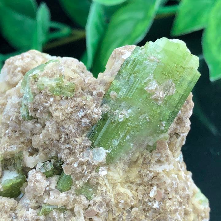 激レアランク！ブラジル産グリーントルマリン結晶原石y1350