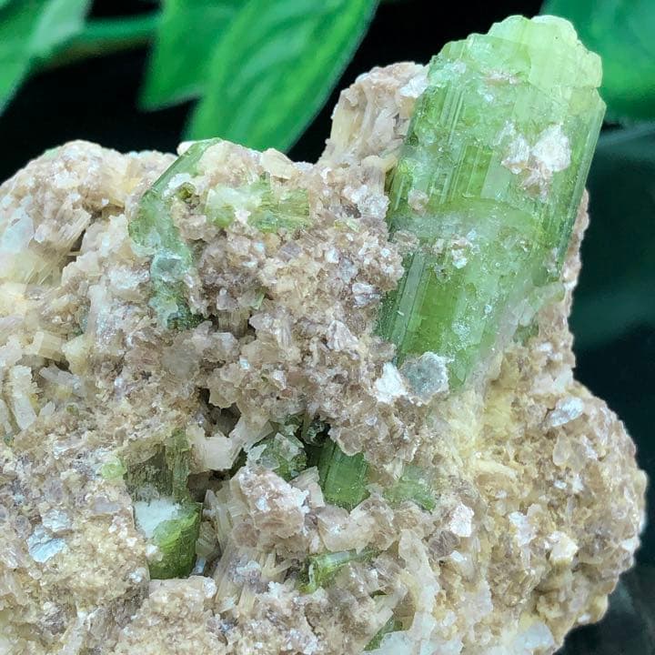 激レアランク！ブラジル産グリーントルマリン結晶原石y1350