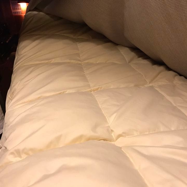 カリモク クッションWT5633