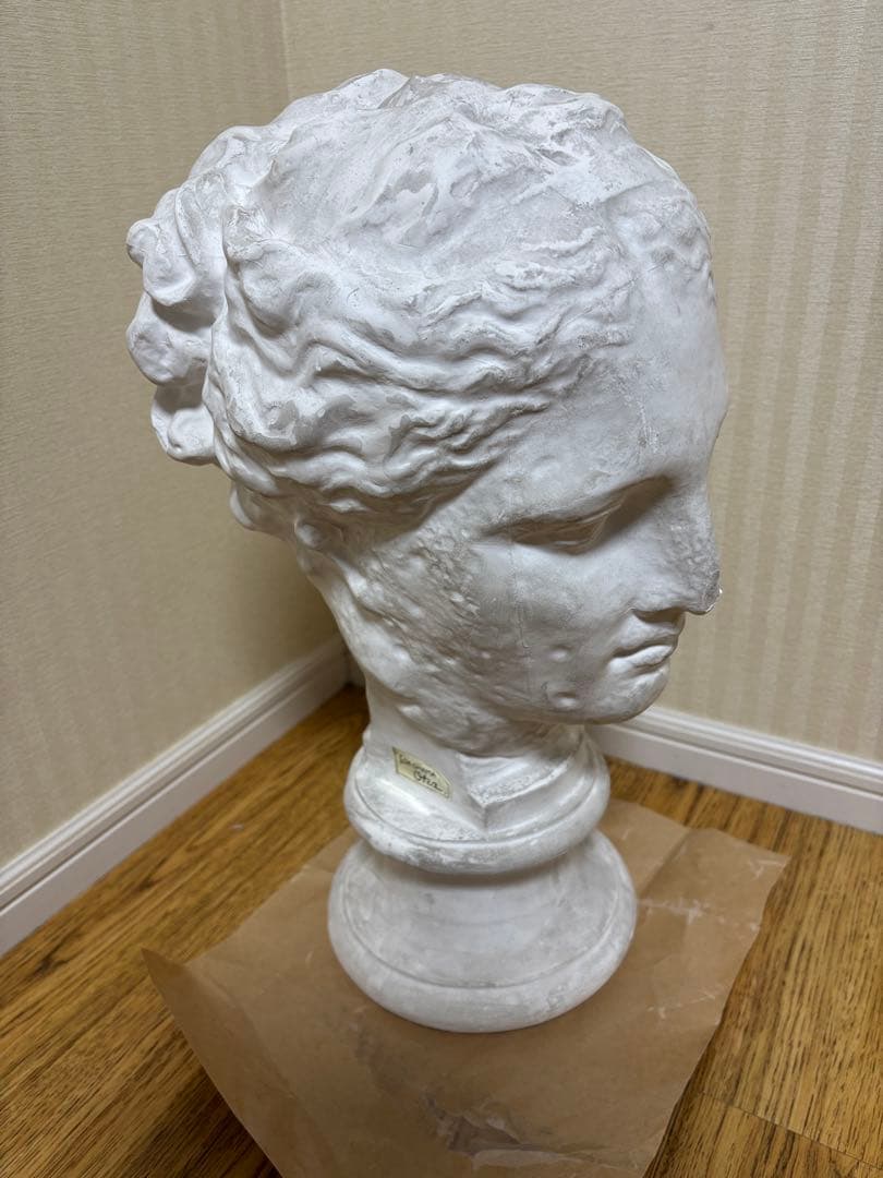 石膏像 古代ヴィーナス首像 アバタのヴィーナス デッサン　岡製作所　OKA