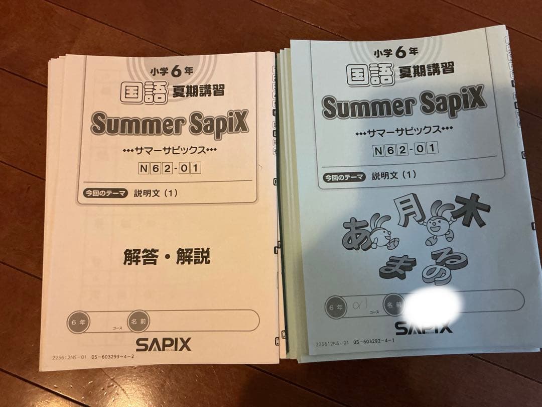 SAPIX 国語　中学受験　最新　2026年度　デイリー　教材