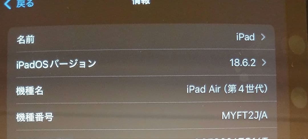 Apple iPad Air 4世代 256GB (86%Battery)