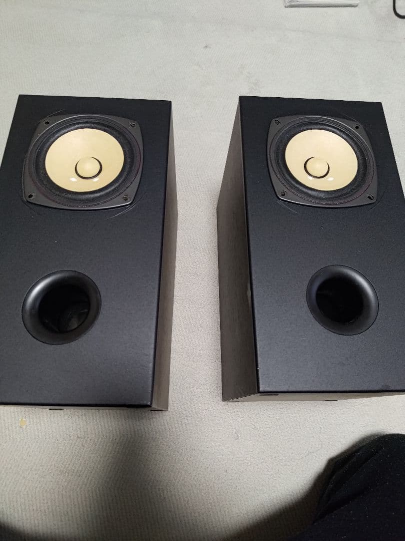 FOSTEX BK105WB2 FE103En スピーカーボックス
