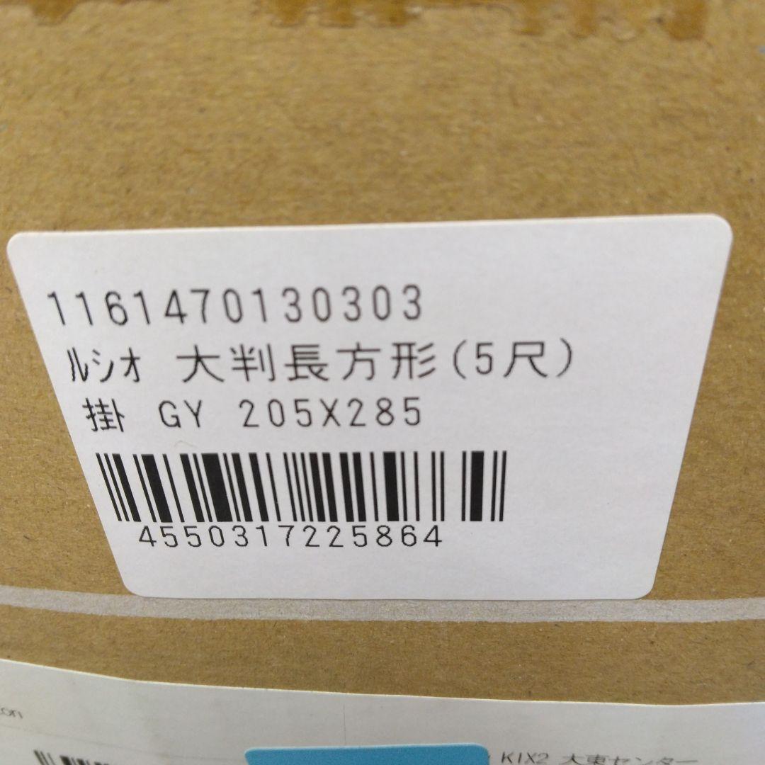 イケヒコ・コーポレーション ルシオ 大判長方形 掛 GY 205X285