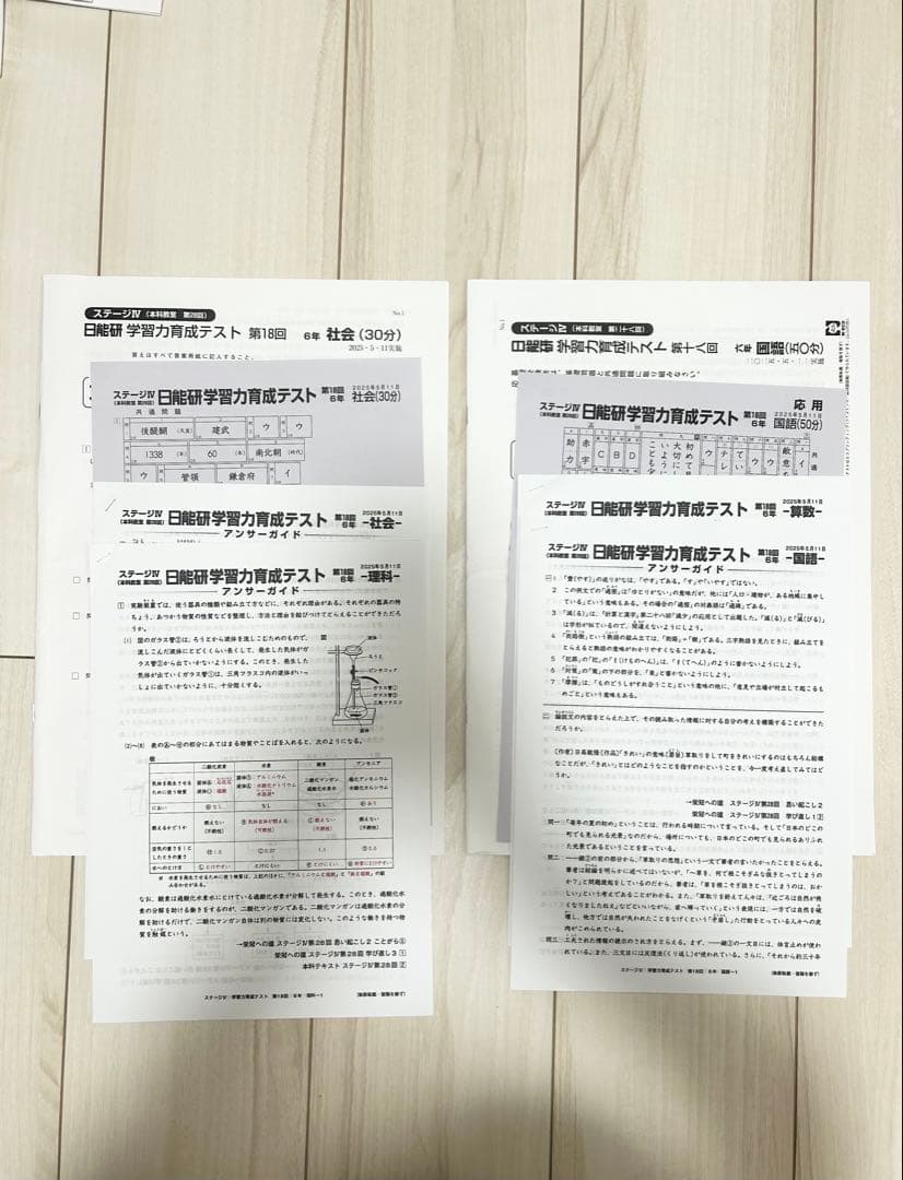 日能研 育成テスト★6年 前期(6/8までの12回分) 2025年度 最新版★