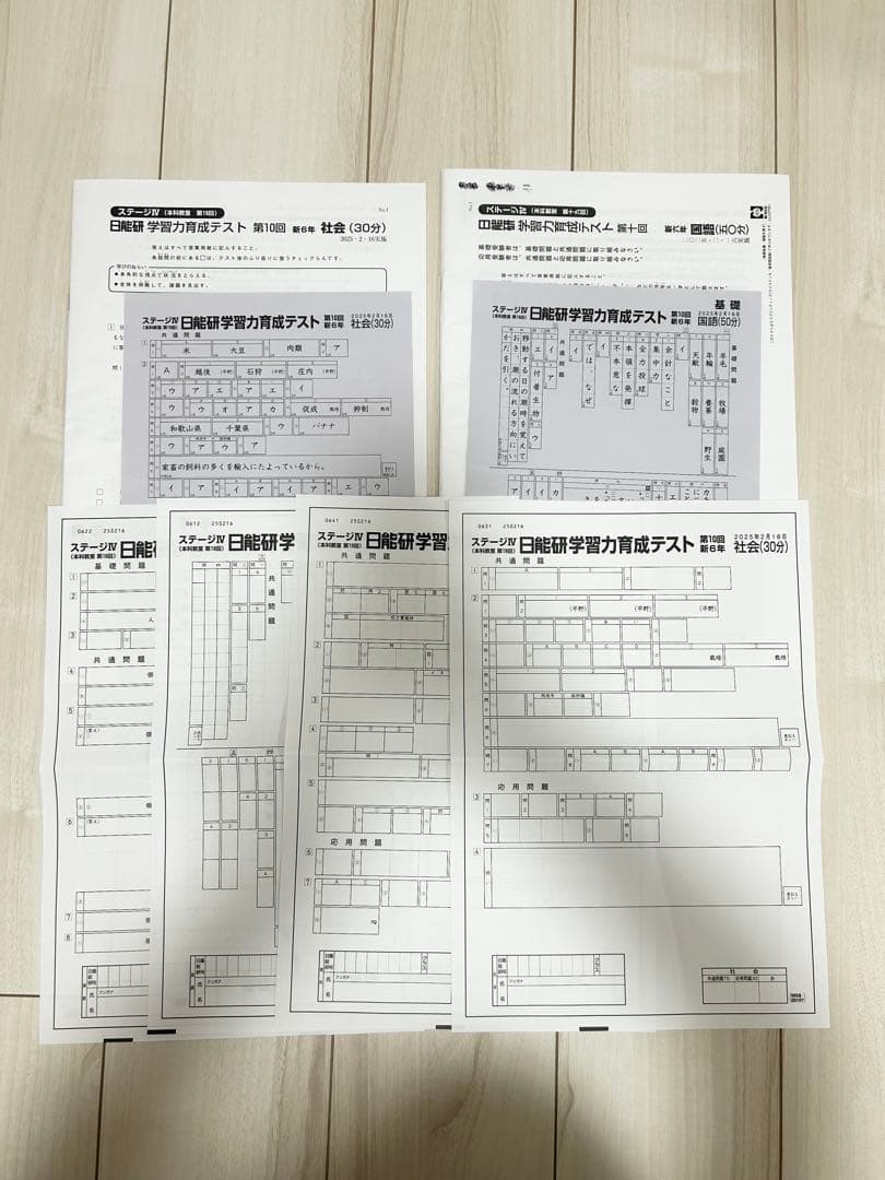 日能研 育成テスト★6年 前期(6/8までの12回分) 2025年度 最新版★