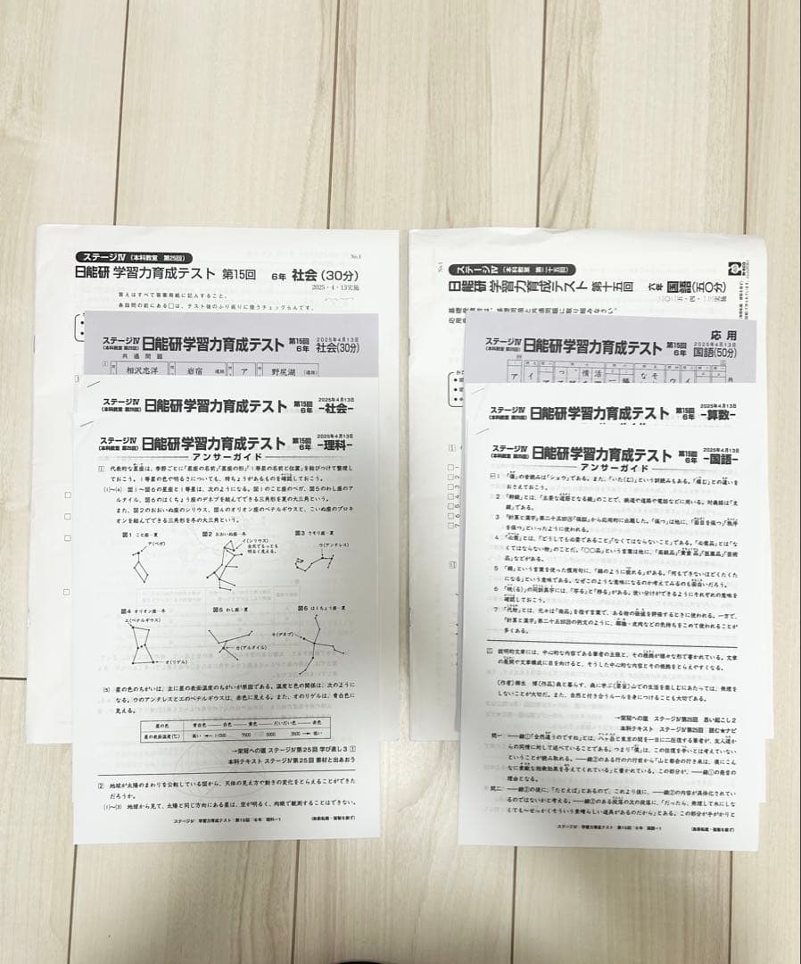 日能研 育成テスト★6年 前期(6/8までの12回分) 2025年度 最新版★