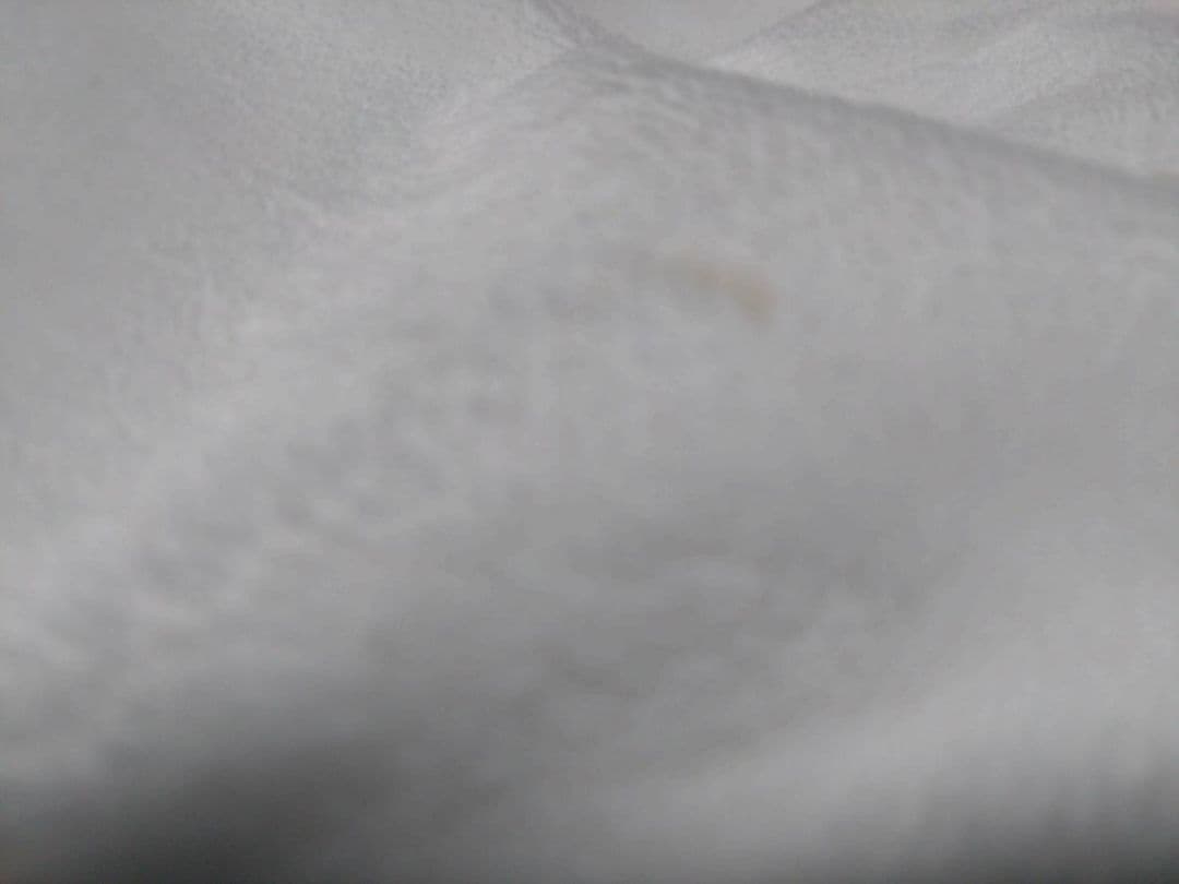 マザーガーデン しろたん特大お布団セット