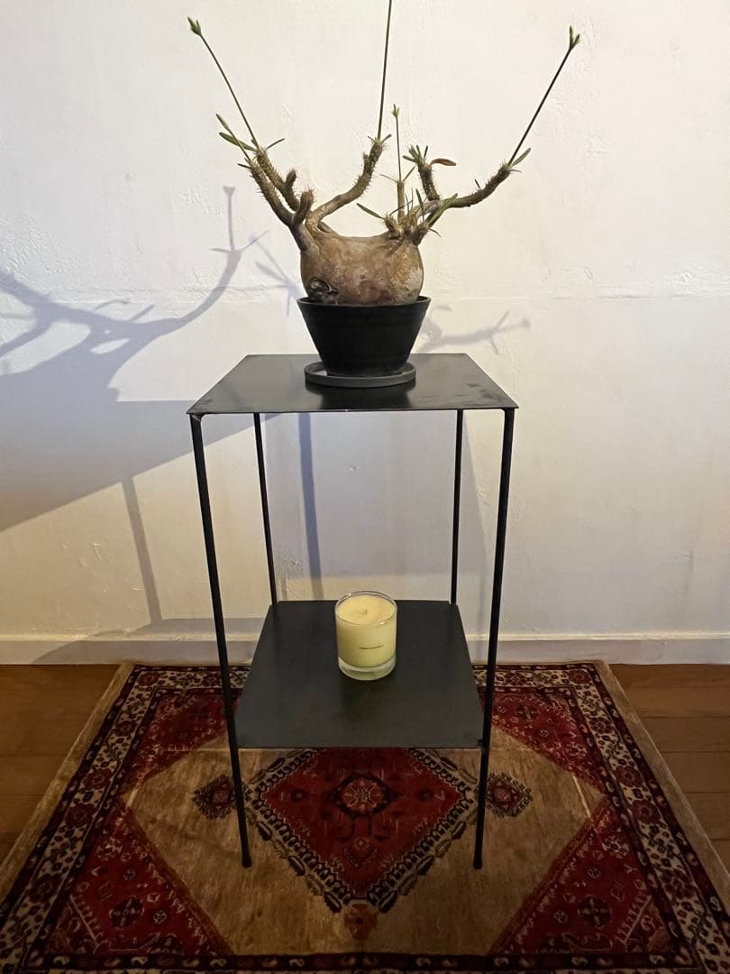 アイアン台　シンプル　無骨　植物棚　ディスプレイ棚