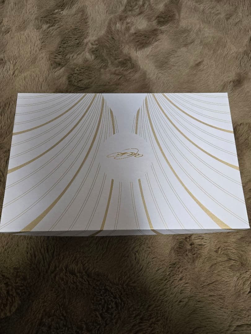 NIKE　レブロン21 EP Tahitian 27.0 LEBRON