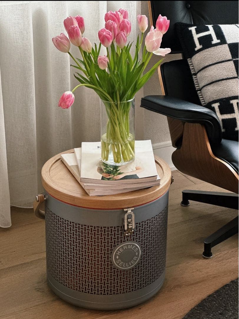 エルメス サドルボックス カルーセルミニアルミニウム 馬具缶