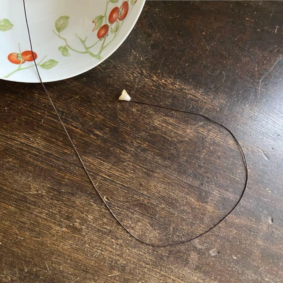 オールドノリタケ　則武　日陶　柿図シェード　電笠　大正ロマン