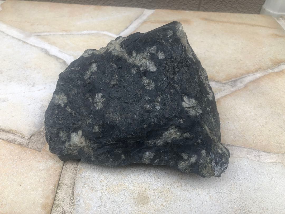 菊花石　鑑賞石　自然石