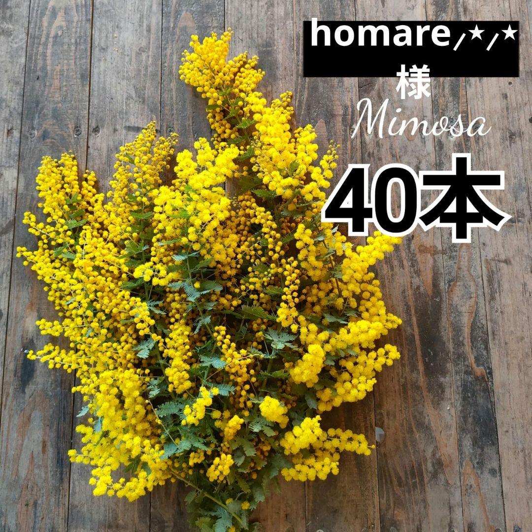 homare⸝⋆⸝⋆ページ