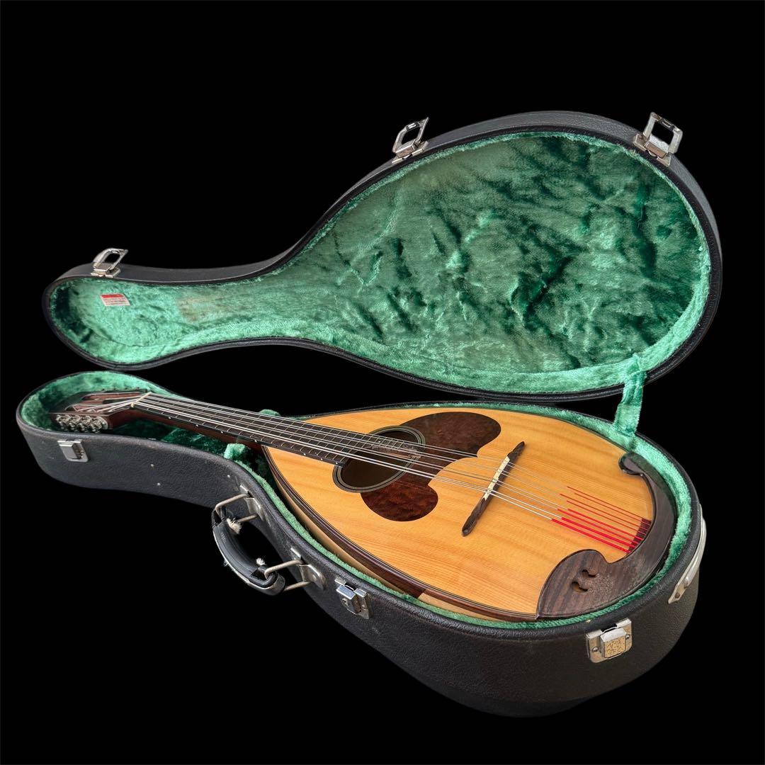 SUZUKI MD-4 マンドラ ハードケース付き