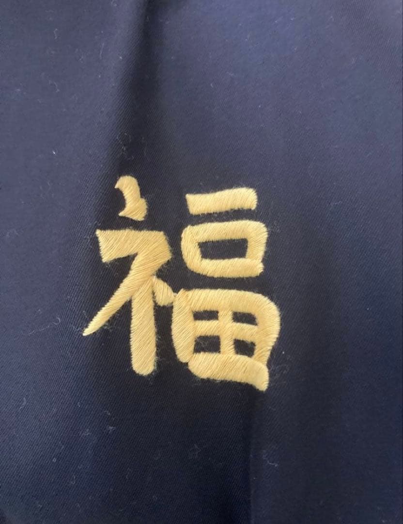 テーラー東洋 ベトジャン TT15275