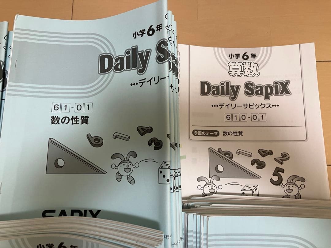 小6 算 デイリーサポート デイリーサピックス24回+春期•夏期 ウィークNプリ