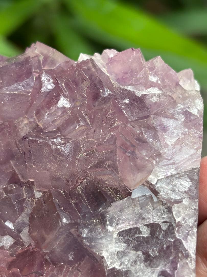 中国安徽省フローライト原石437g ピンクパープルカラー 可愛い　天然石