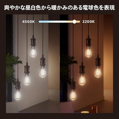 フィリップスヒュー(Philips Hue) スマート電球 フィラメント エジA