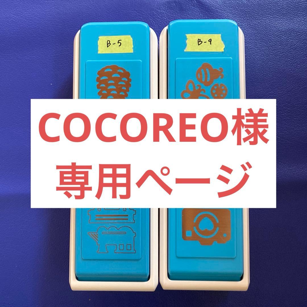 専用ページ　クリエイティブメモリーズB5.9.13.17