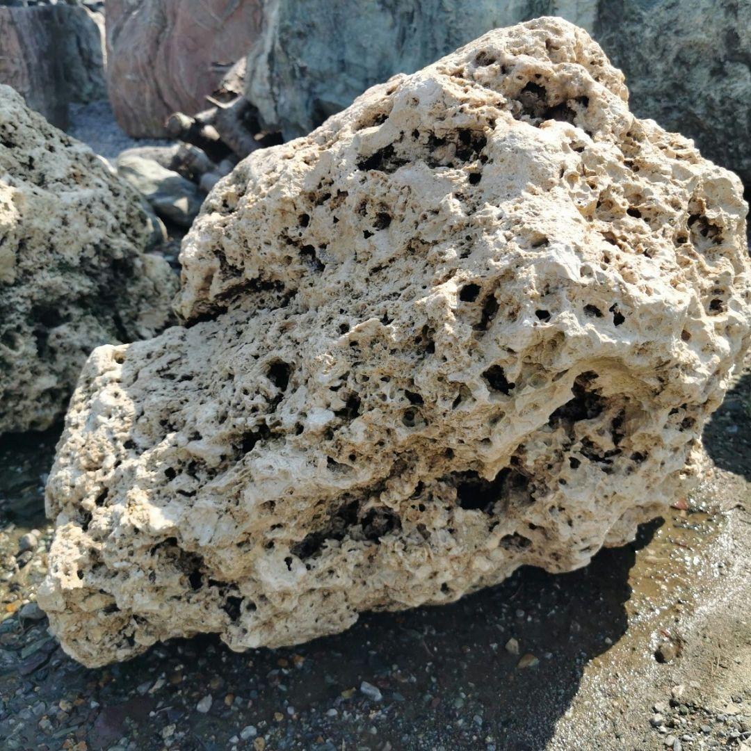 サンゴ石　94キロ　庭石　石　鑑賞石 石材　庭　ガーデニング　置物