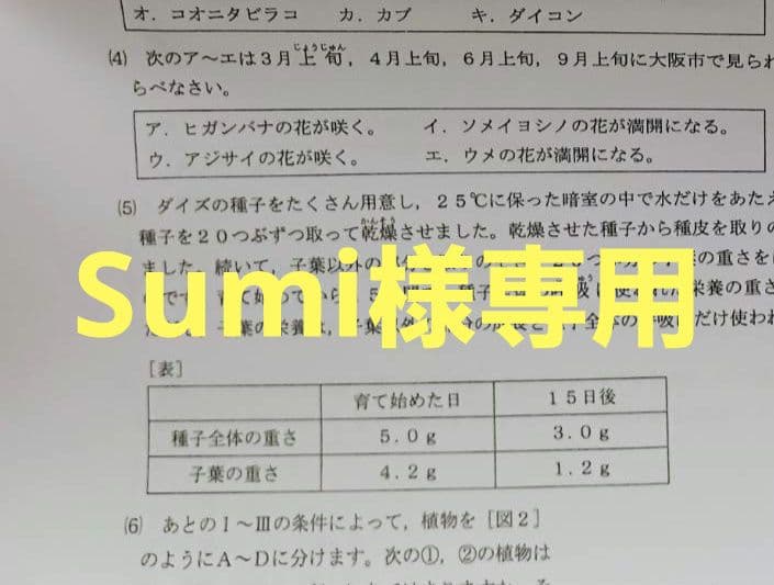 語学・辞書・学習参考書 Sumi