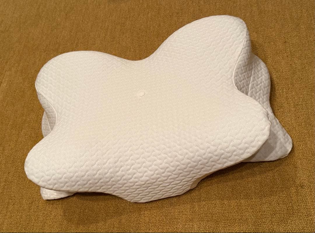 新品‼️アンチダストカバー付き‼️ Derila デリラ　エルゴ　ドイツ製　枕