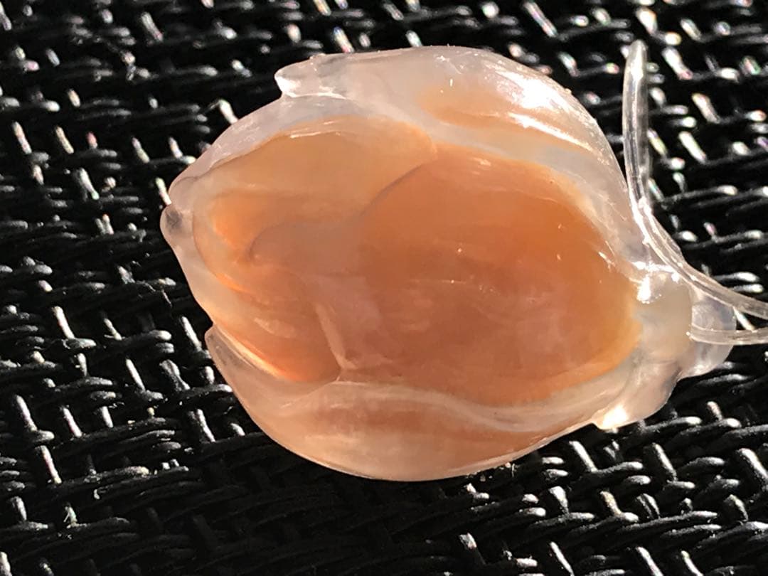 ゴビ石−1431 ゴビ瑪瑙　彫刻　『モクレン』