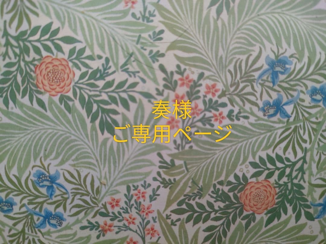 こちら専用ページとなります❀