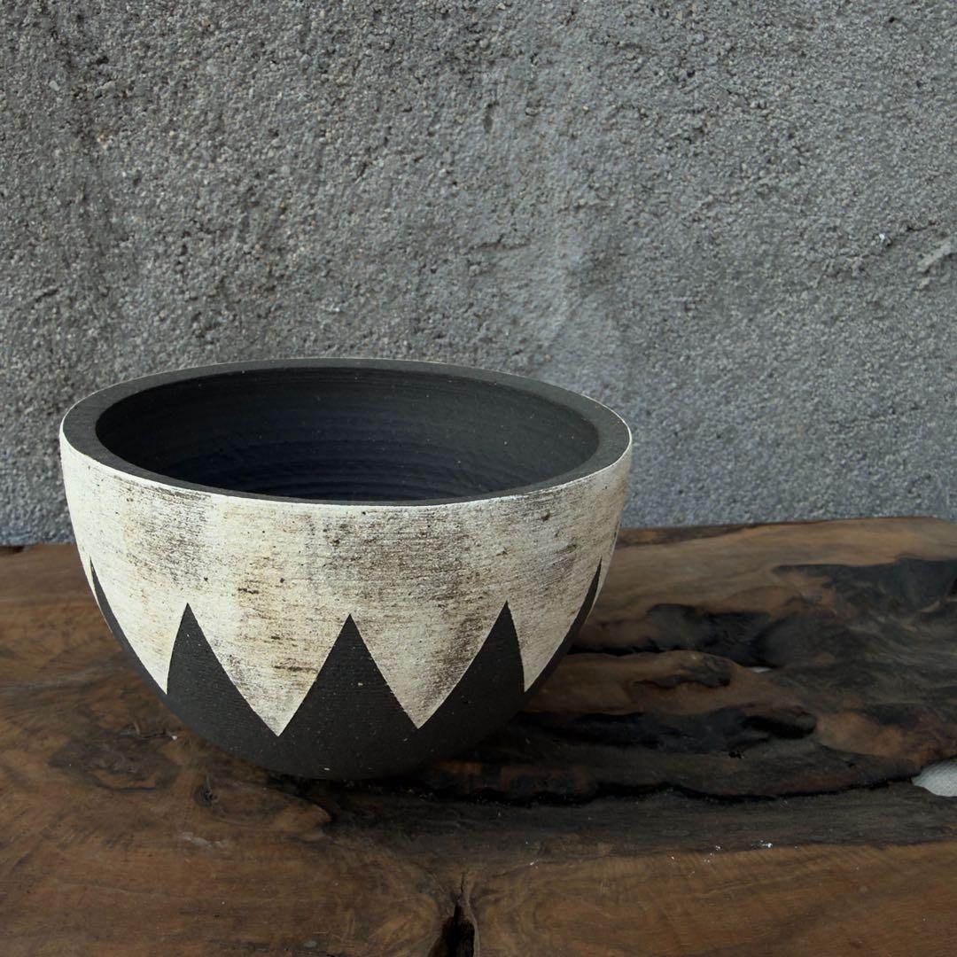 手作植木鉢 グラデーション植木鉢（ 塊根植物 グラキリス パキプス アガベ)