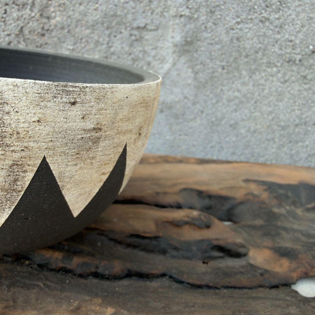 手作植木鉢 グラデーション植木鉢（ 塊根植物 グラキリス パキプス アガベ)