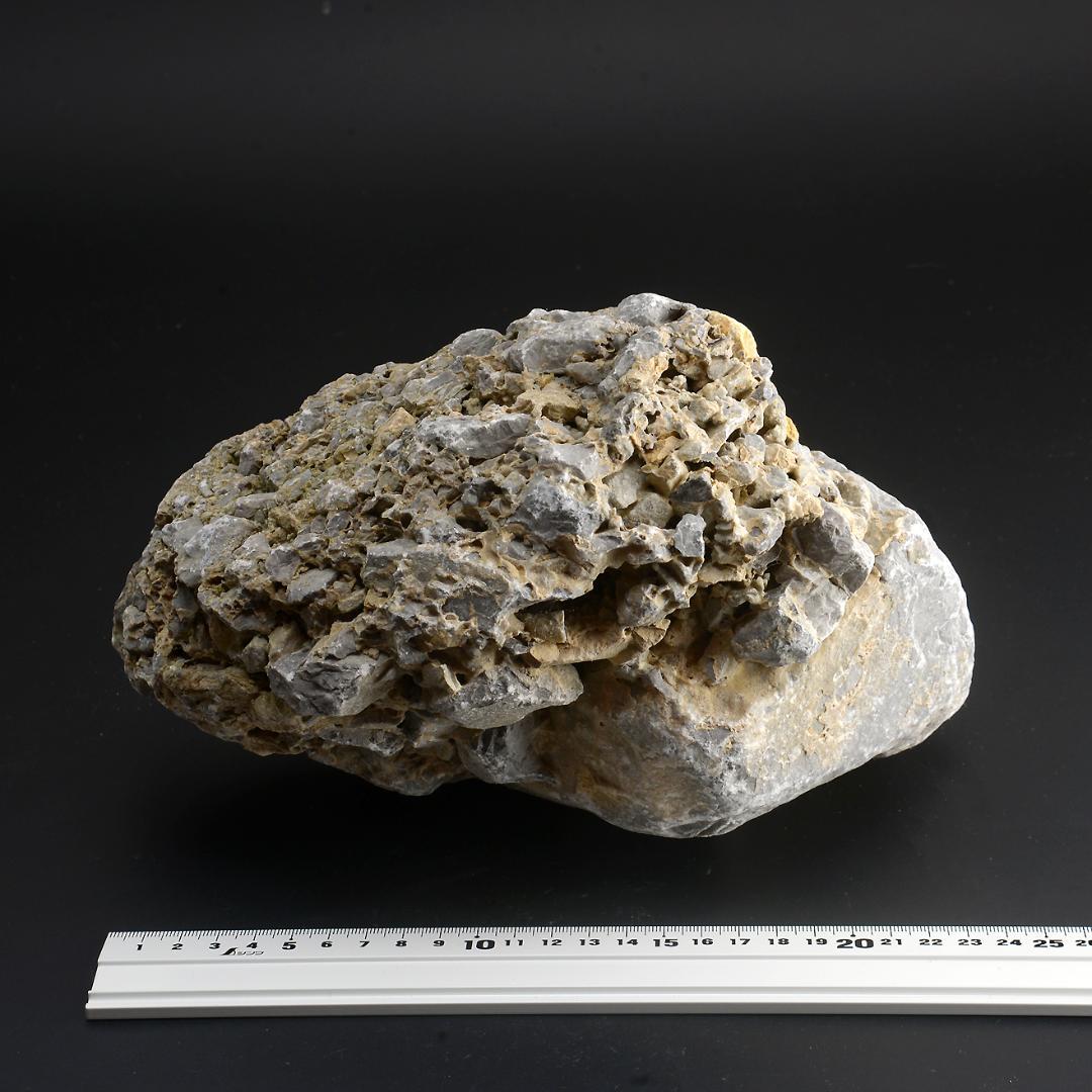 さざれ石（石灰質角礫岩 W25.5cm/D17.6cm/H14.4cm）072