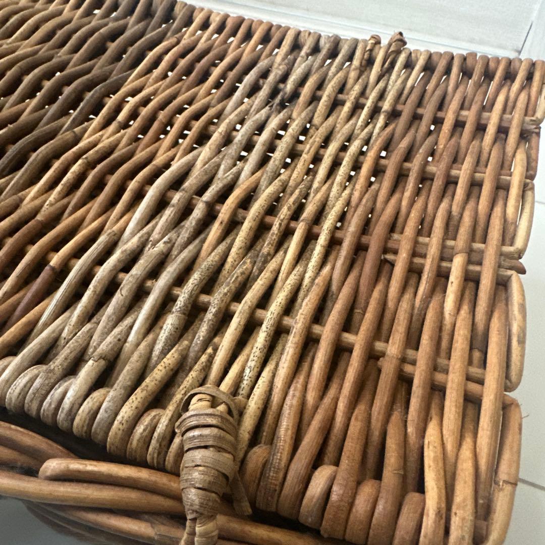 アラログバゲッジバスケット L トランク　籠