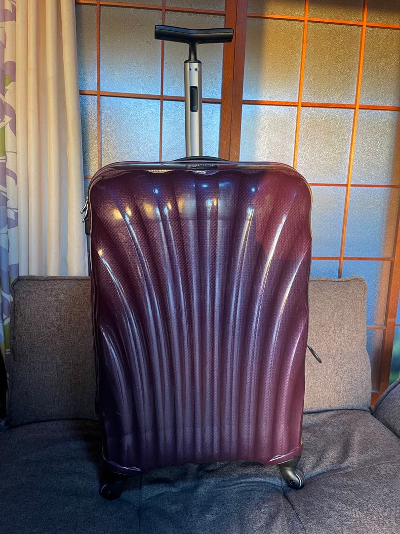 サムソナイト コスモライト トラベルバッグ/ハンドバッグ