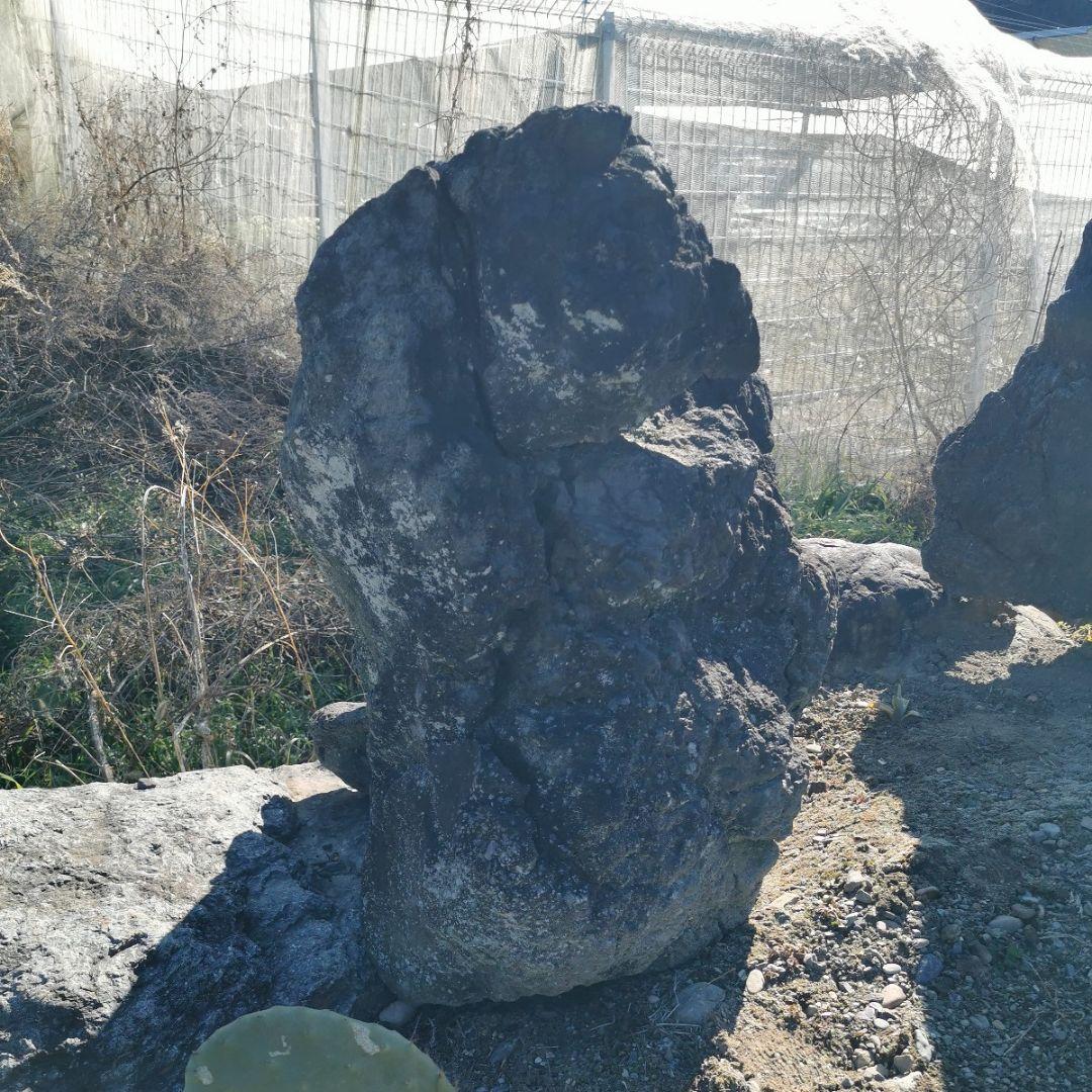 浅間　溶岩石　166キロ　庭石　石　鑑賞石　庭　坪庭　ガーデニング　置物