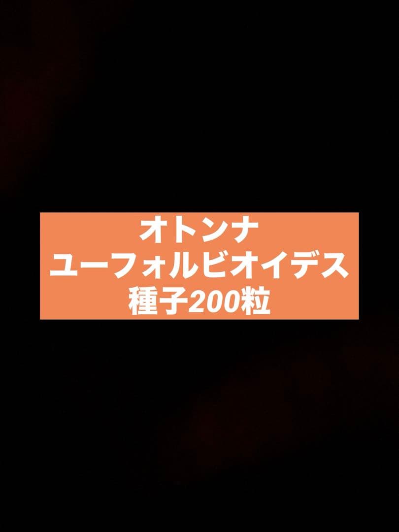 塊根植物・コーデックス ryunny5