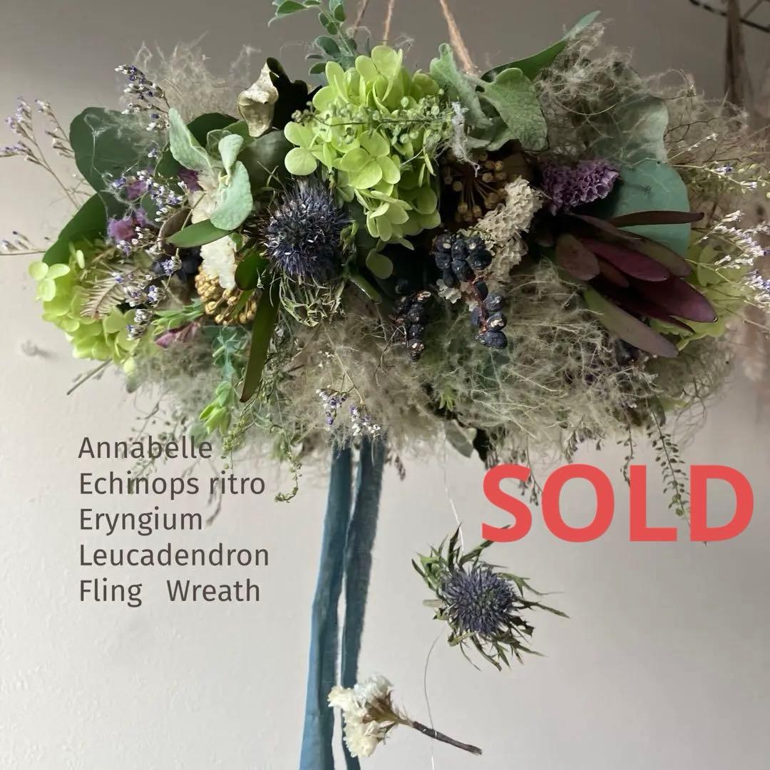 アナベルとルリタマアザミ、エリンジウムのフライングリース　リューカデンドロン