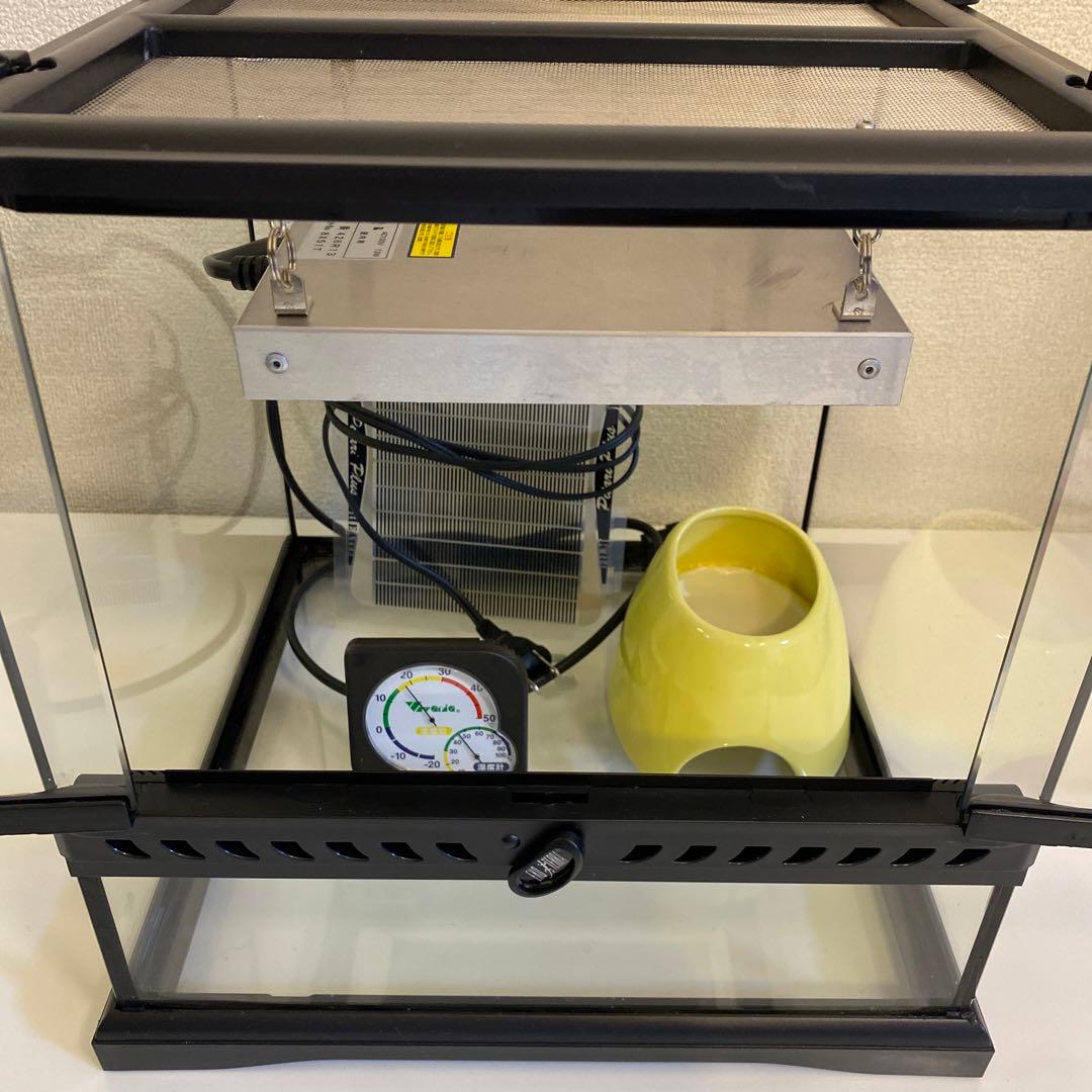 グラステラリウム3030 ③ 飼育一式セット 爬虫類