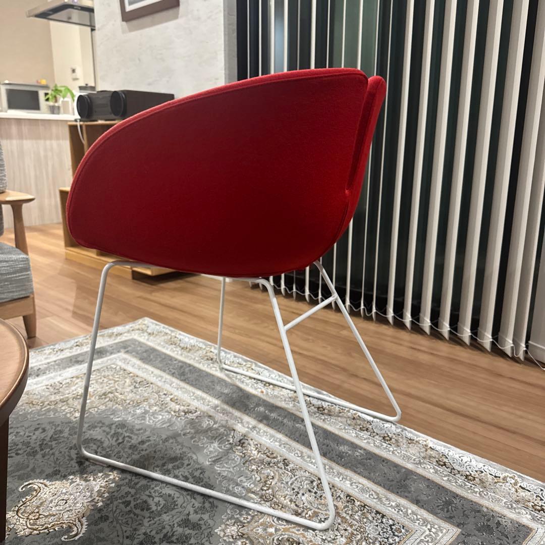 イタリア　チェアー　MOROSO モローゾ