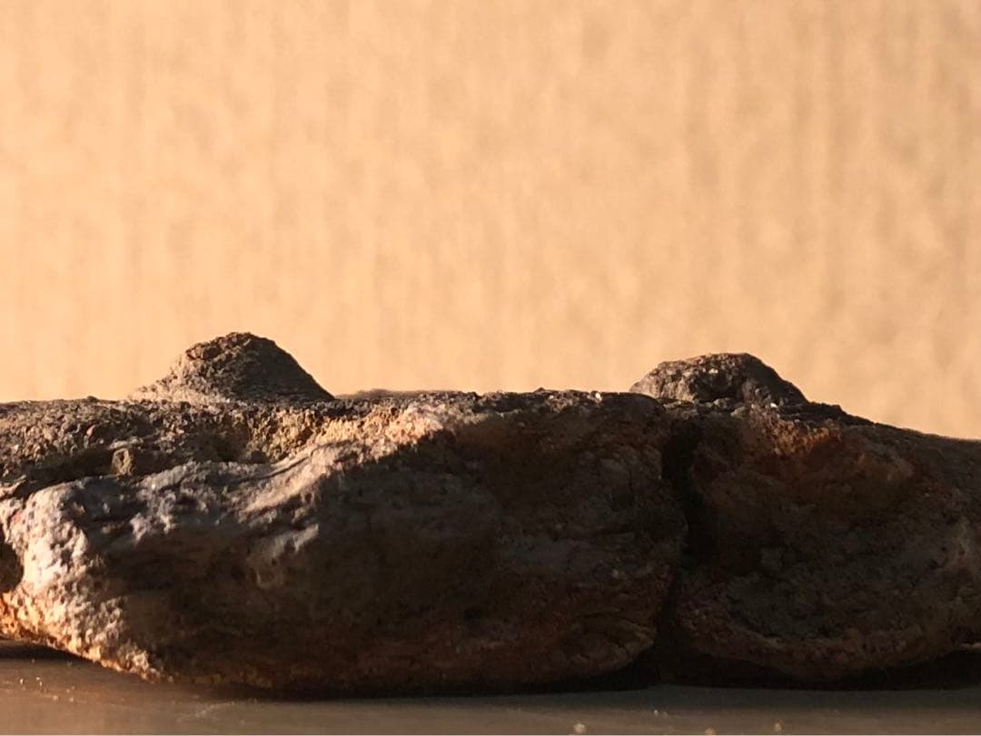 「板状土偶の破片」です。